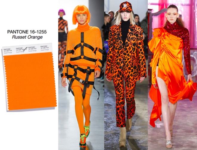 russet orange