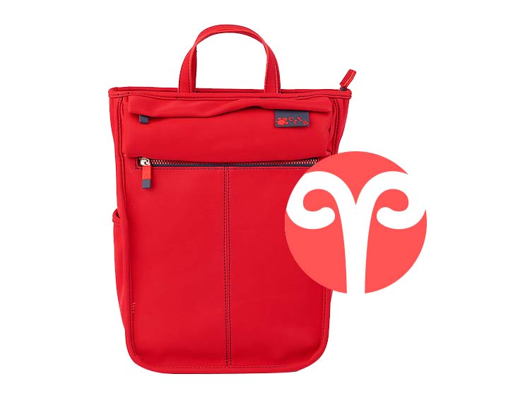 el bolso perfecto para Aries